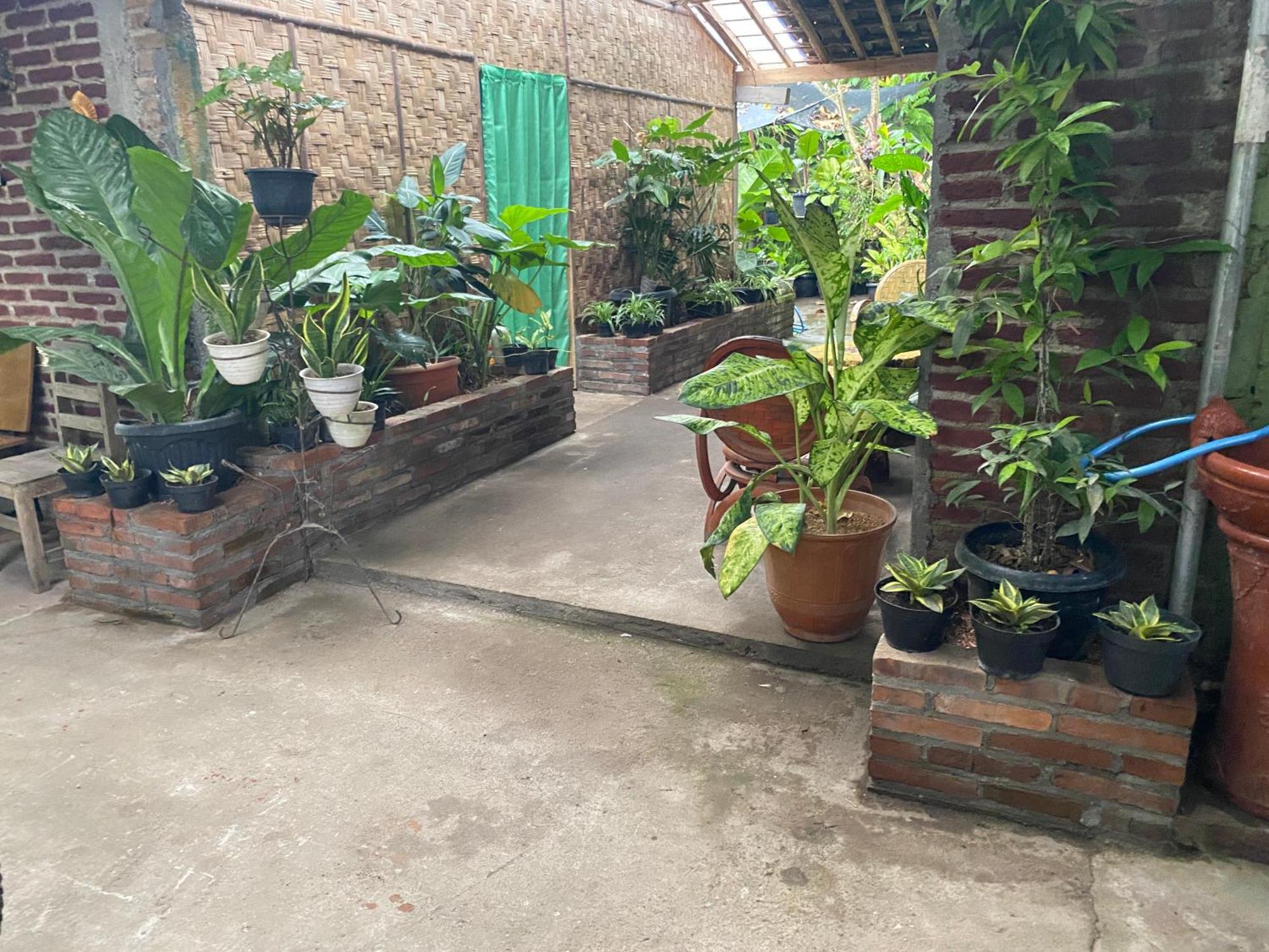 Ada Homestay Magelang Exterior photo